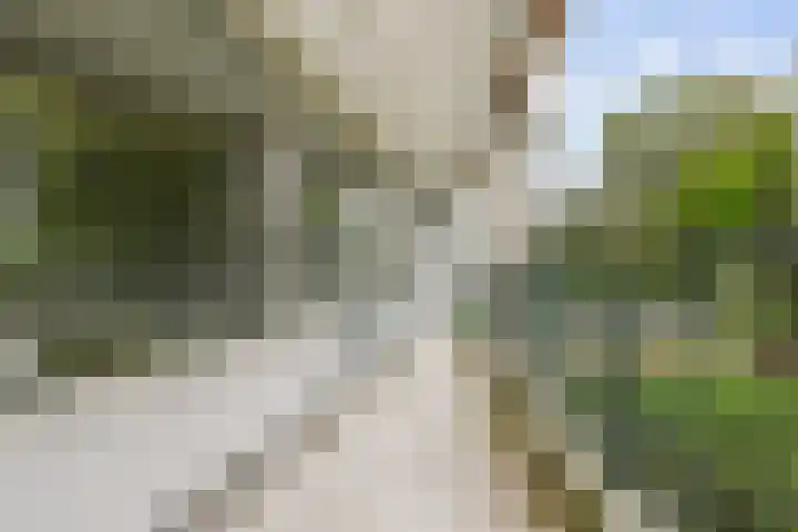 Haastenburg 86 Gouda thumbnail 29