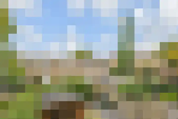 Haastenburg 86 Gouda thumbnail 31