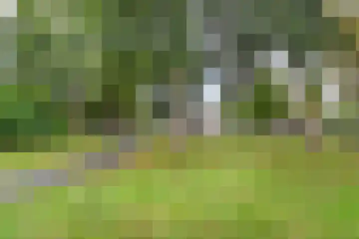 Haastenburg 86 Gouda thumbnail 33