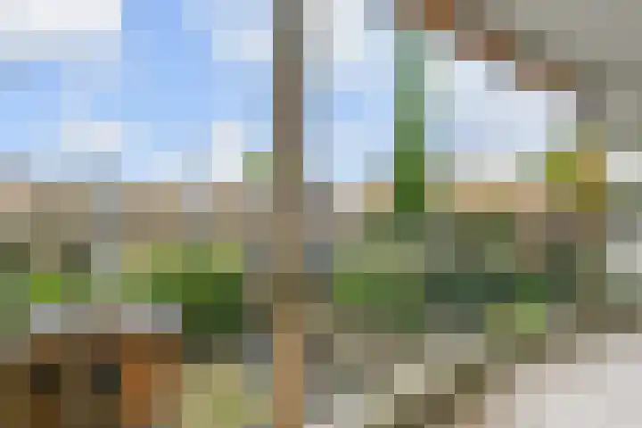 Haastenburg 86 Gouda thumbnail 5