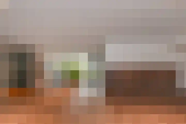 Haastenburg 86 Gouda thumbnail 7