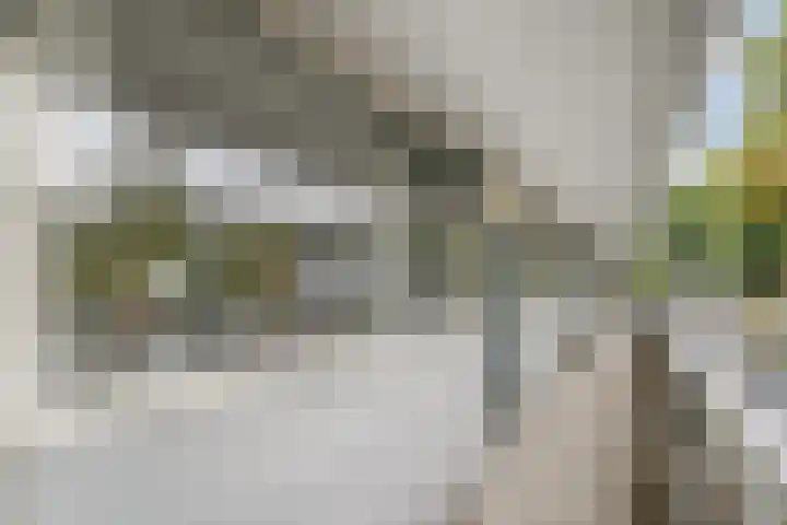 Haastenburg 86 Gouda thumbnail 8