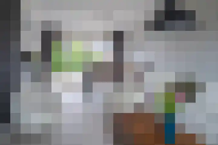 Hackettweg 25 Renkum thumbnail 10