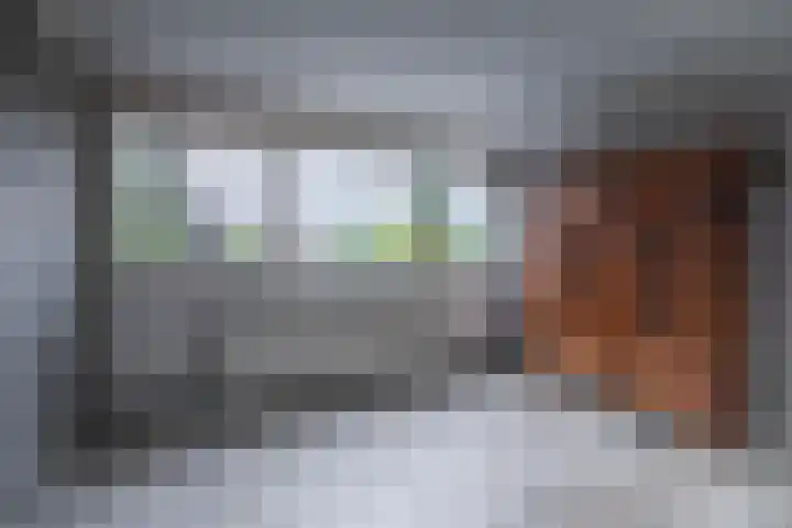 Hackettweg 25 Renkum thumbnail 22
