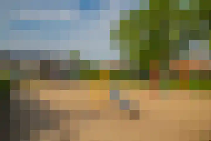 Hackettweg 25 Renkum thumbnail 32