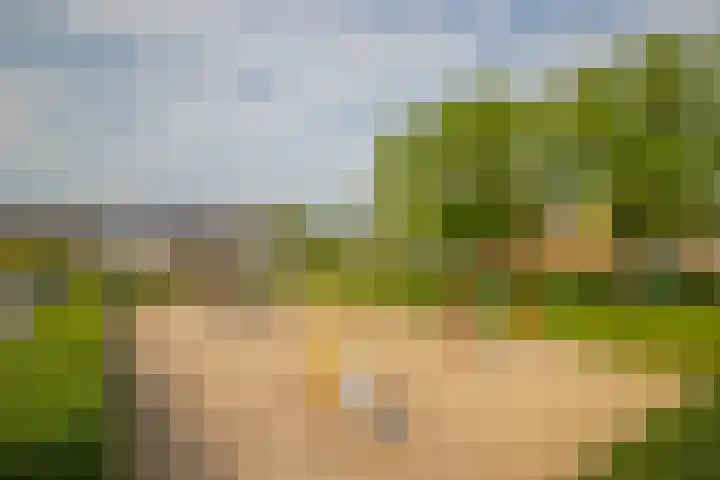 Hackettweg 25 Renkum thumbnail 4