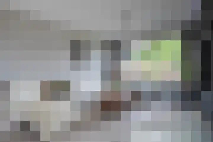 Hackettweg 25 Renkum thumbnail 8