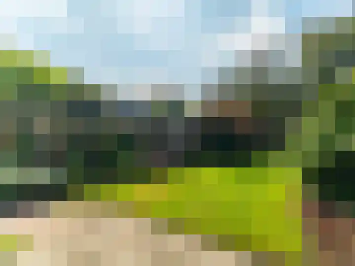 Hackettweg 31 Renkum thumbnail 25
