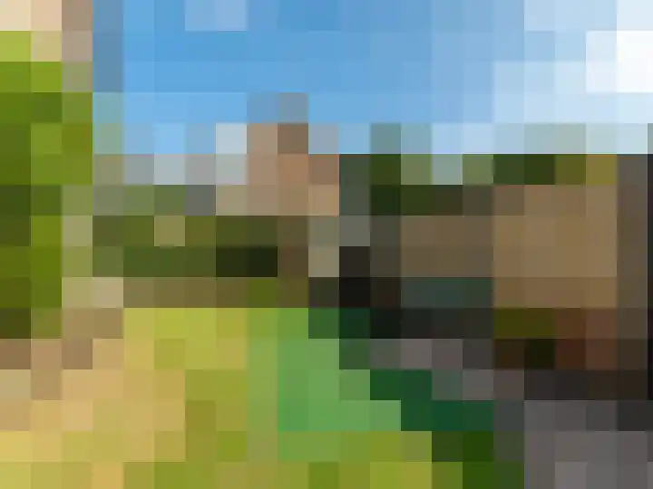 Hackettweg 31 Renkum thumbnail 27