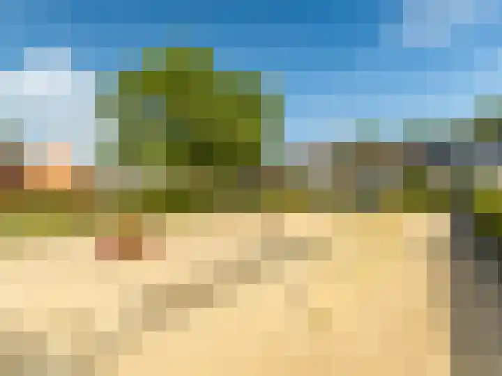 Hackettweg 31 Renkum thumbnail 33