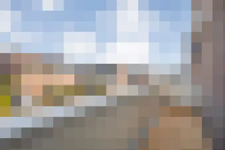 Hackfort 17 Almelo thumbnail 19