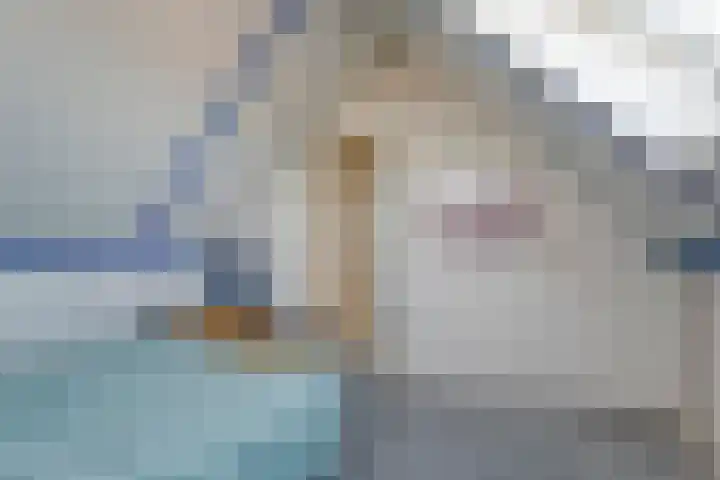 Hackfort 17 Almelo thumbnail 23