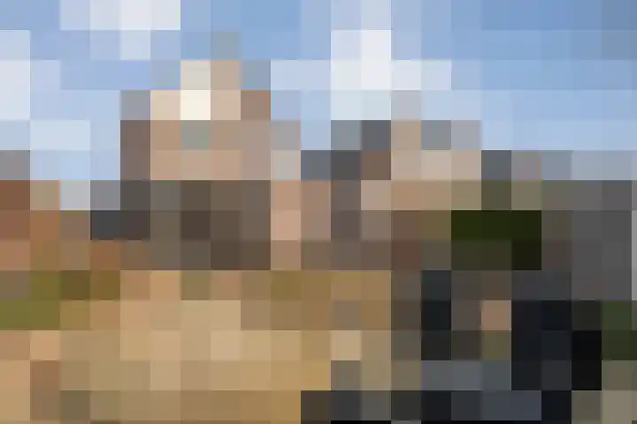 Hackfort 17 Almelo thumbnail 24