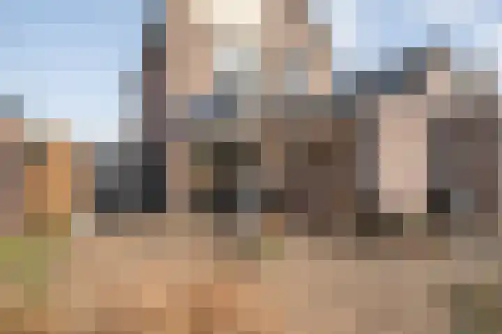 Hackfort 17 Almelo thumbnail 25