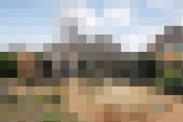 Hackfort 17 Almelo thumbnail 29