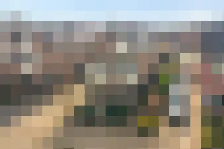 Hackfort 17 Almelo thumbnail 30