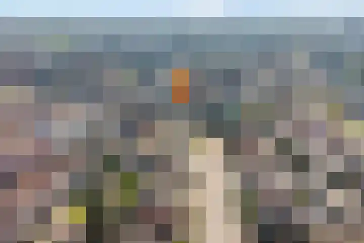 Hackfort 17 Almelo thumbnail 33