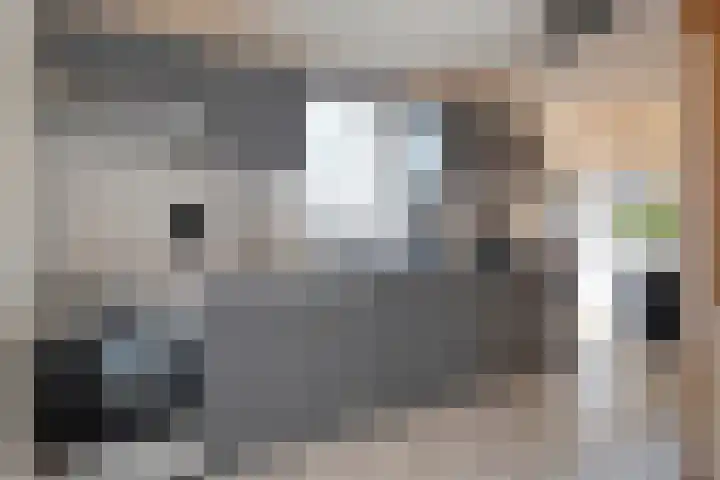 Hackfort 17 Almelo thumbnail 7