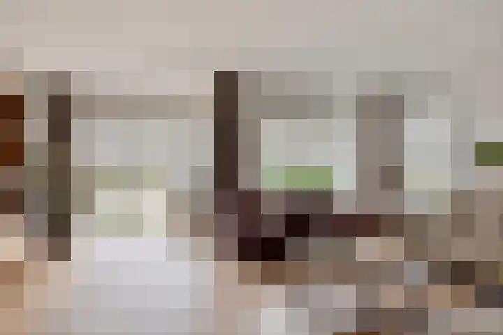 Hackfortallee 20 Duiven thumbnail 11