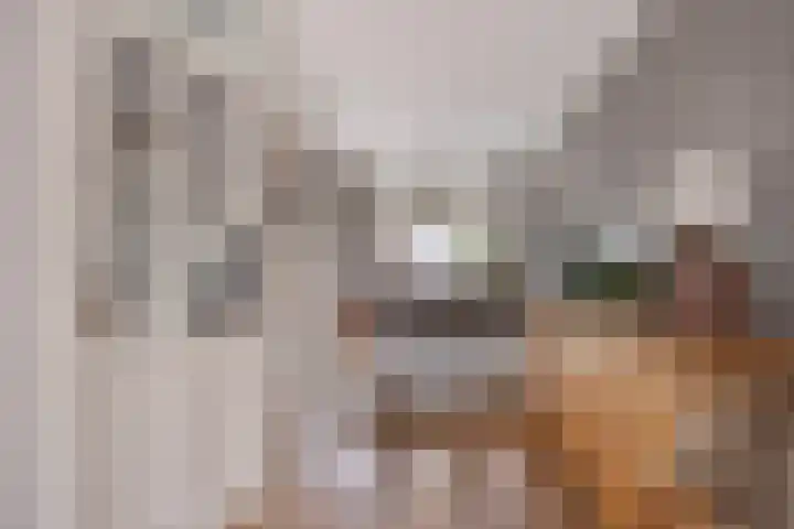 Hackfortallee 20 Duiven thumbnail 15