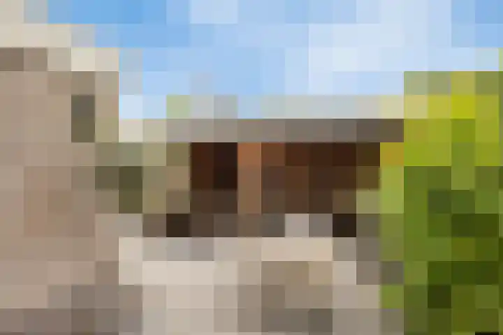 Hackfortallee 20 Duiven thumbnail 40