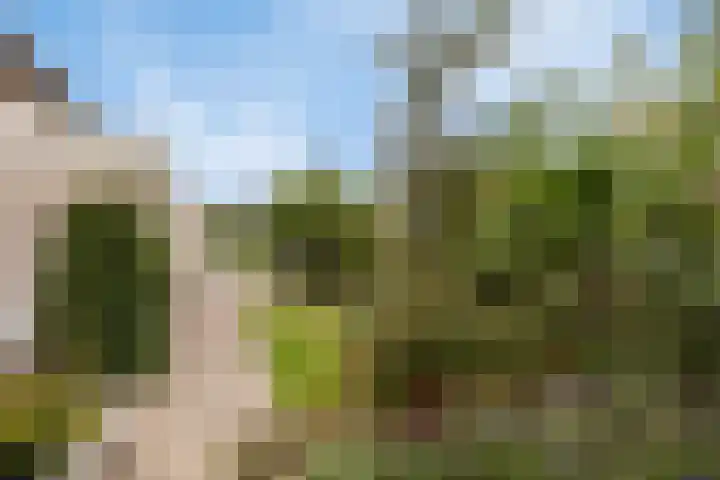 Hackfortallee 20 Duiven thumbnail 44