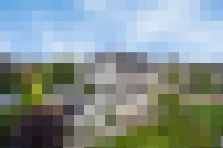 Hackfortallee 20 Duiven thumbnail 49