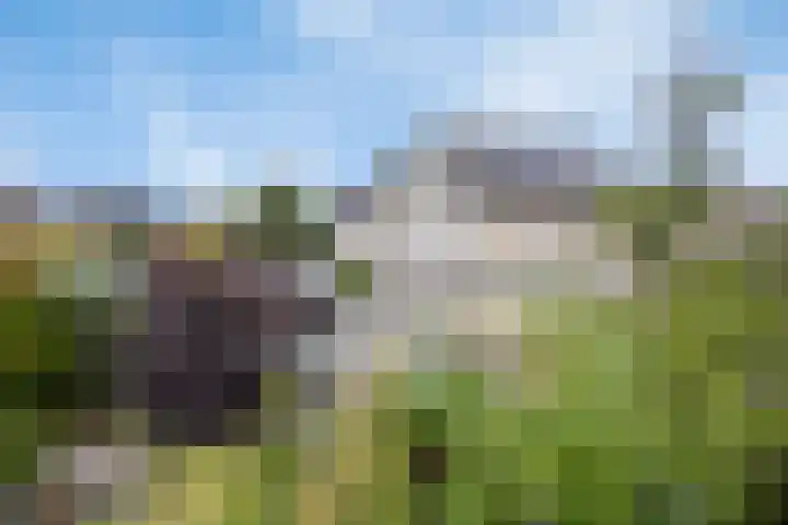Hackfortallee 20 Duiven thumbnail 51