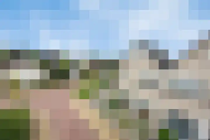 Hackfortallee 20 Duiven thumbnail 59