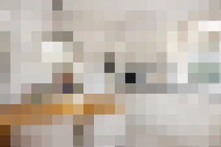 Hackforterweg 1 Wichmond thumbnail 13
