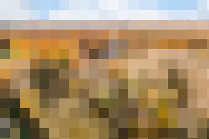Hackforterweg 1 Wichmond thumbnail 29