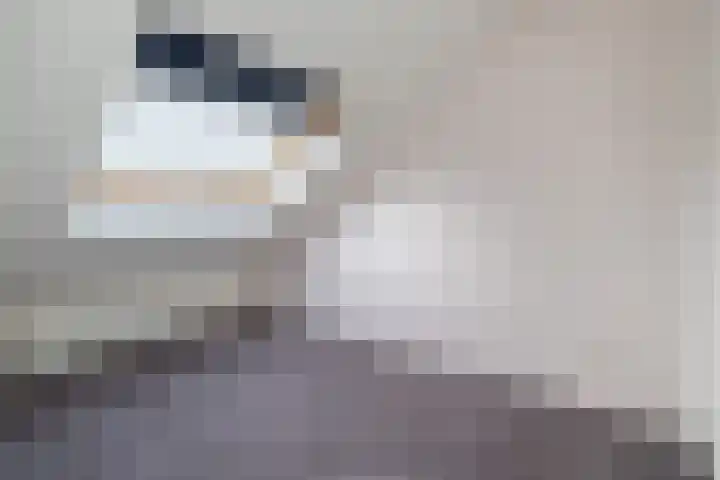 Hackfortlaan 49 Barneveld thumbnail 33