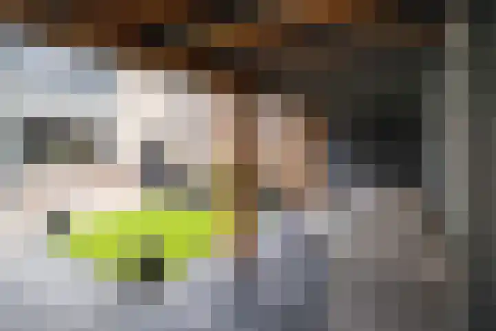 Hackfortlaan 49 Barneveld thumbnail 41