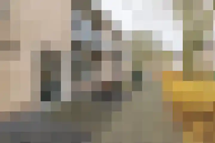 Hackfortlaan 49 Barneveld thumbnail 44