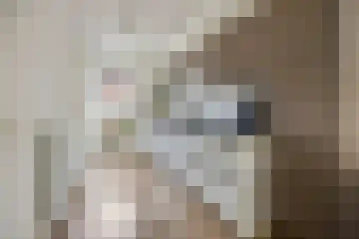 Hackfortsgoed 65 Bennekom thumbnail 10