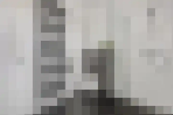 Hackfortsgoed 65 Bennekom thumbnail 24