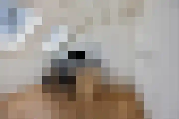 Hackfortsgoed 65 Bennekom thumbnail 28