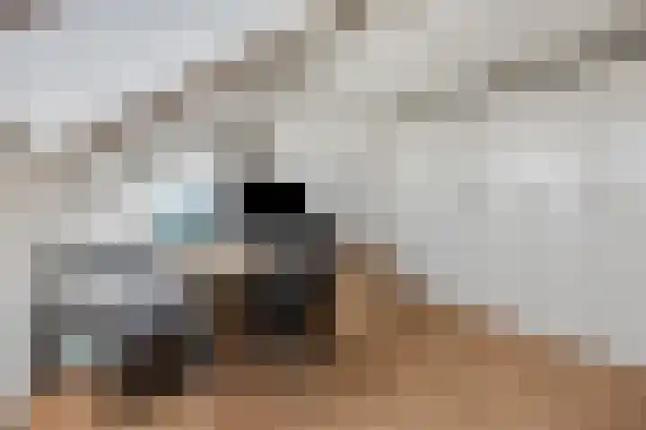 Hackfortsgoed 65 Bennekom thumbnail 29