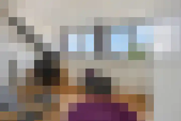 Hackfortsgoed 65 Bennekom thumbnail 31