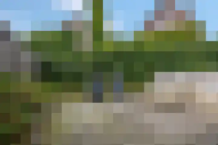 Hackfortsgoed 65 Bennekom thumbnail 34