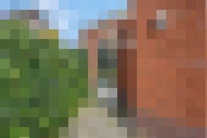 Hackfortsgoed 65 Bennekom thumbnail 39