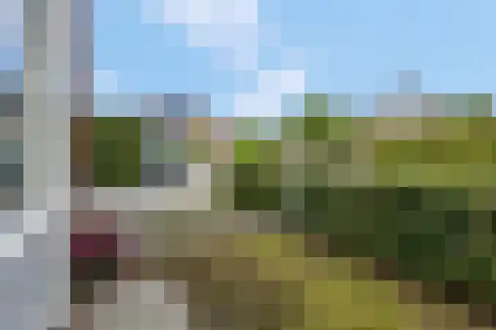 Hackfortsgoed 65 Bennekom thumbnail 41