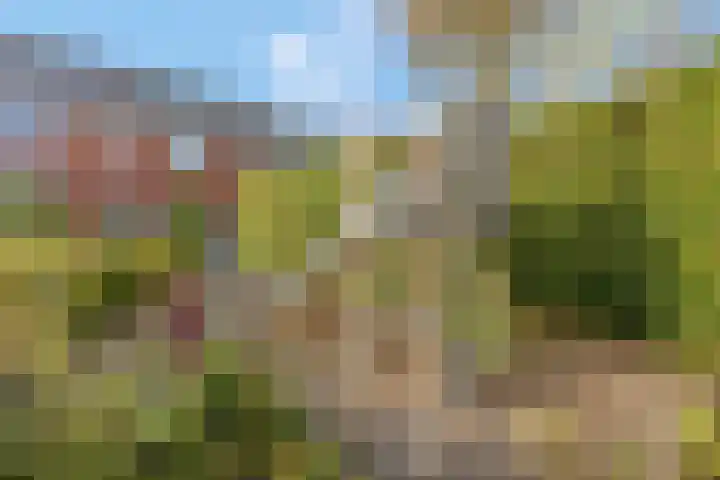 Hackfortsgoed 65 Bennekom thumbnail 54