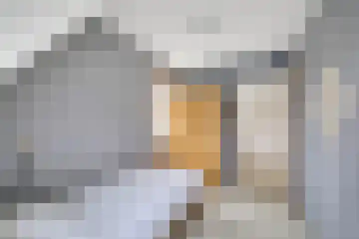 Hackfortstraat 27 Hellevoetsluis thumbnail 22