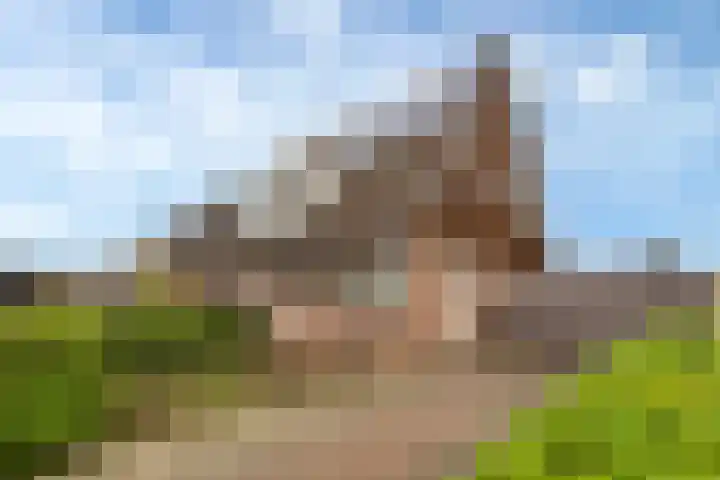 Hackfortstraat 27 Hellevoetsluis thumbnail 33