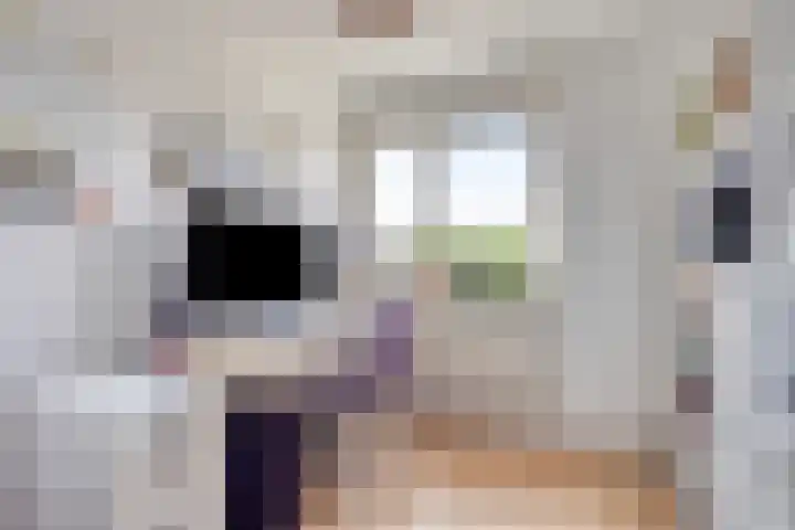 Hackfortstraat 7 Nijmegen thumbnail 13