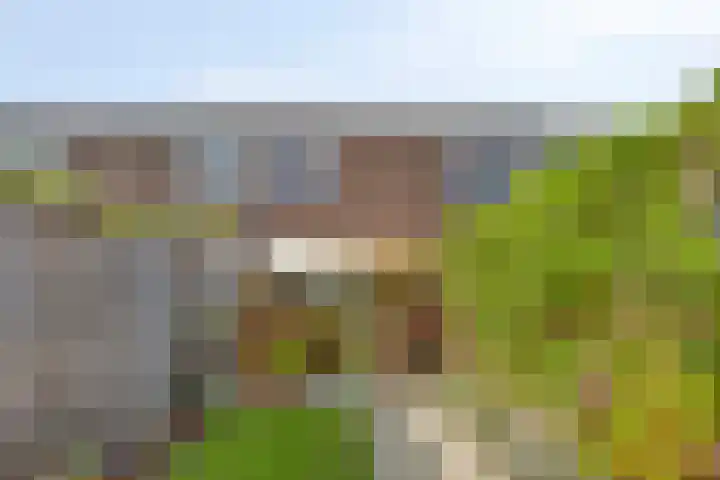 Hackfortstraat 7 Nijmegen thumbnail 22