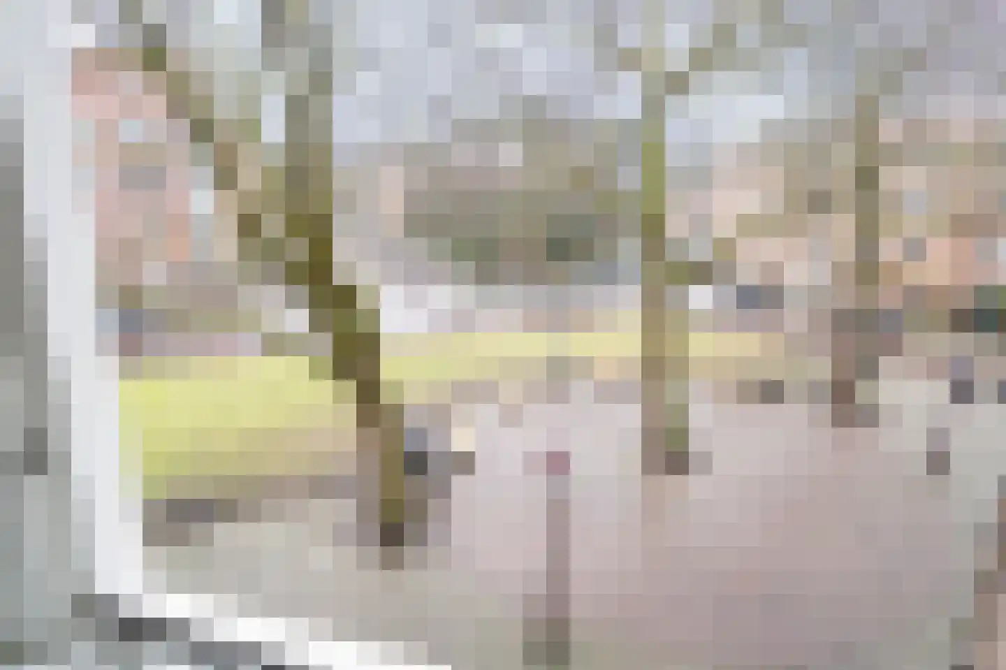 Hacquartstraat 3 H Amsterdam thumbnail 9