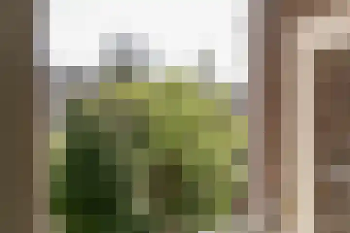 Hacquartstraat 5 A Amsterdam thumbnail 16