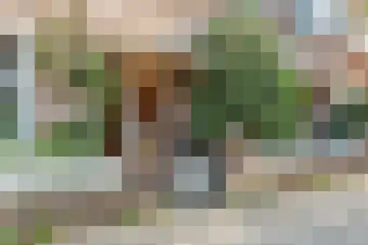 Hacquartstraat 7 2 Amsterdam thumbnail 27